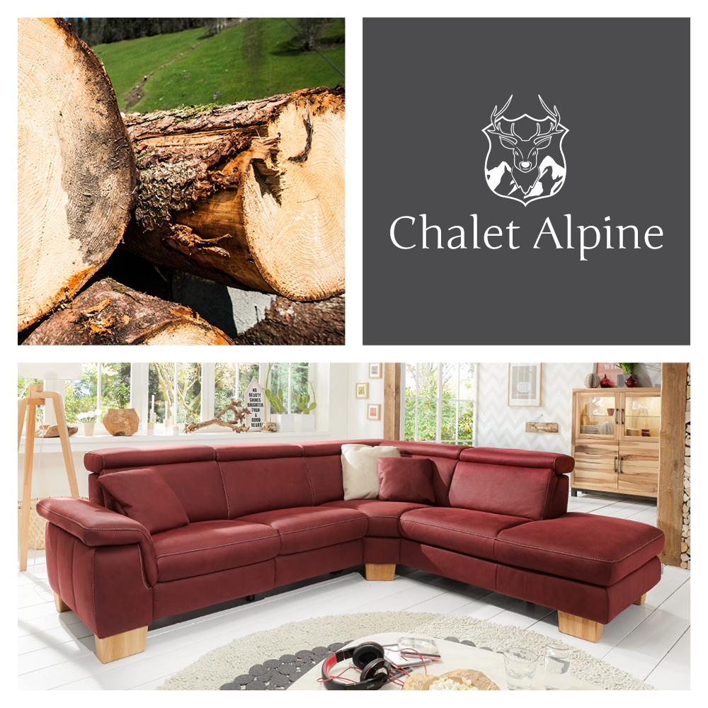 Wohnwelt Chalet Alpine