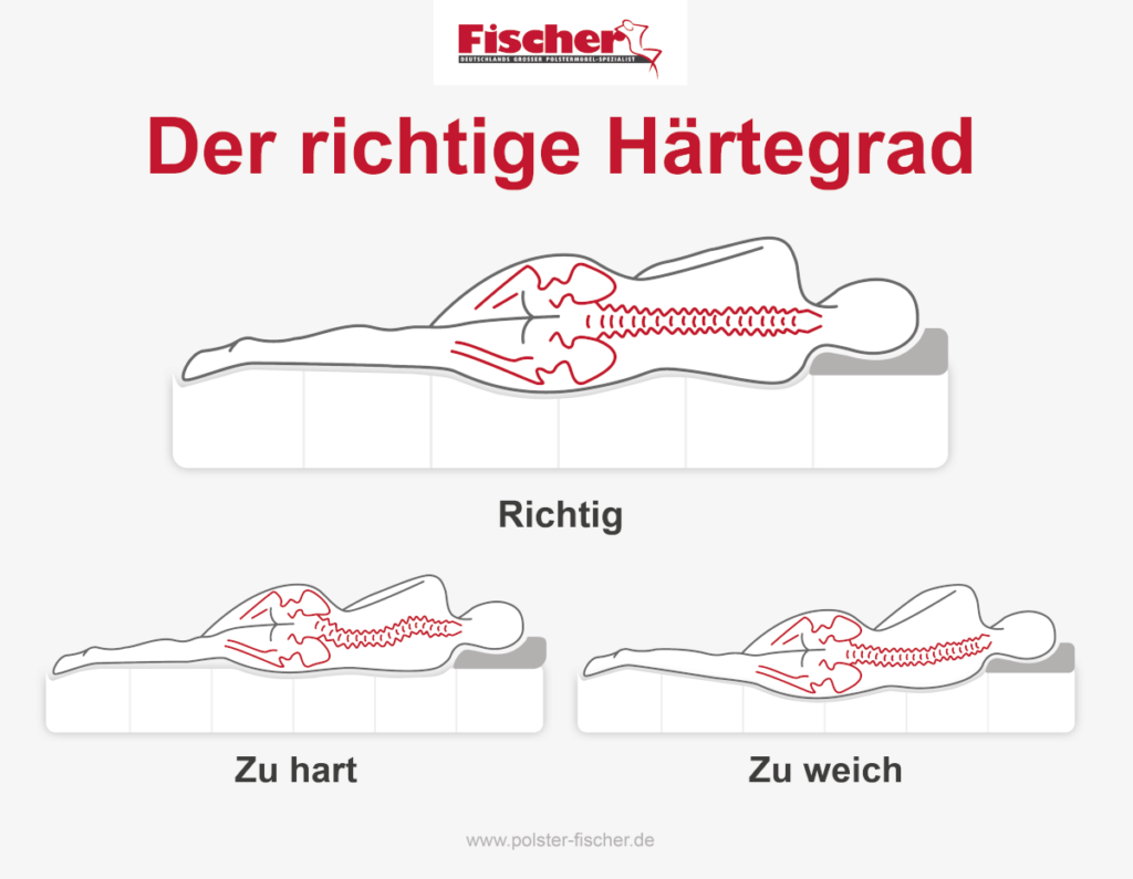 Darstellung der Wirbelsäule, wenn ein Boxspringbett zu weich, zu hart oder genau richtig ist